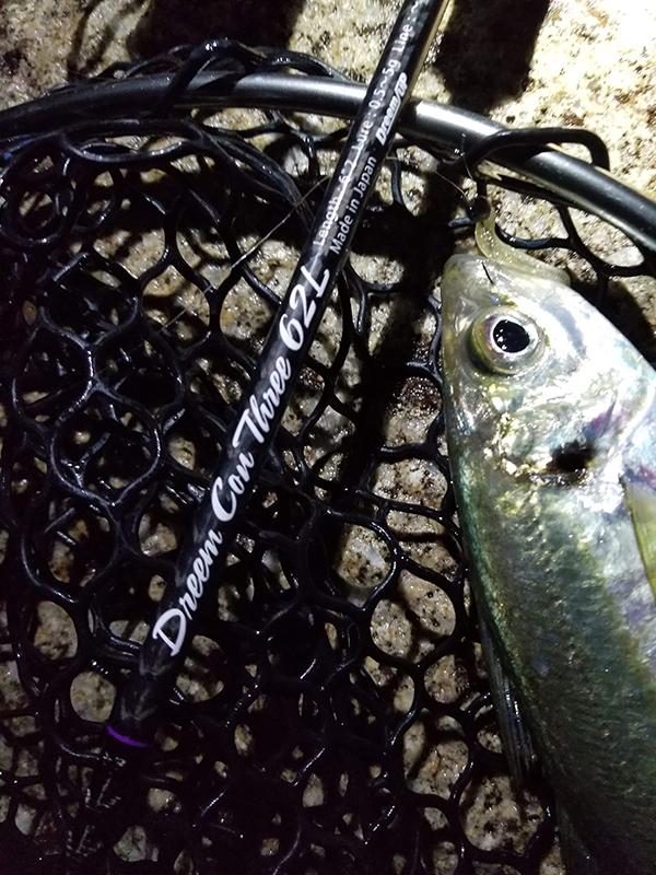 第1弾アジングロッドは全層攻略可能アクション～ドリームコンスリー