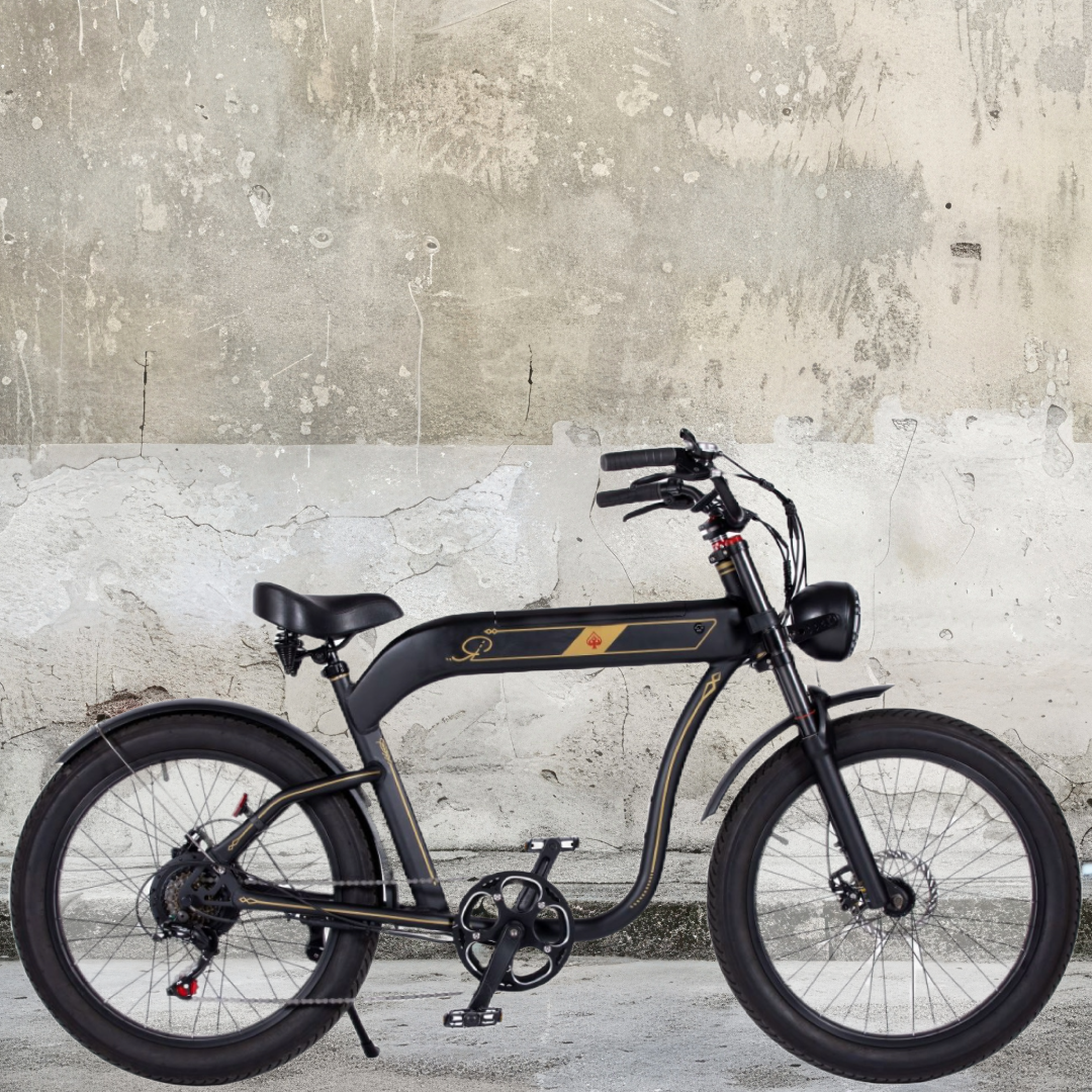 電動自転車／ロカフレーム バサラ【BASARA】e-bike UENO｜バイク王