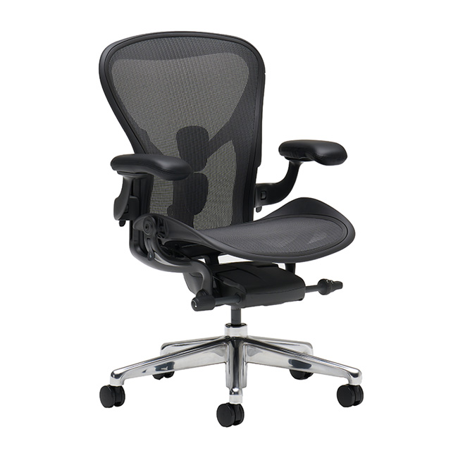 アーロンチェア X39900 グラファイト/ポリッシュドアルミニウム 通販