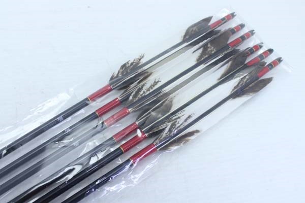 EASTON XX75 弓道矢 1913