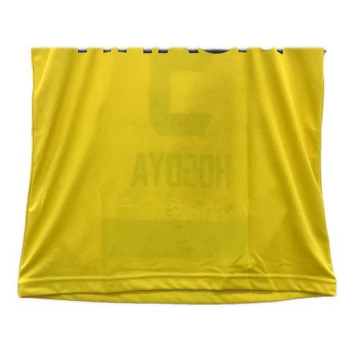 柏レイソル (カシワレイソル) 【9】細谷真大 サッカーユニフォーム