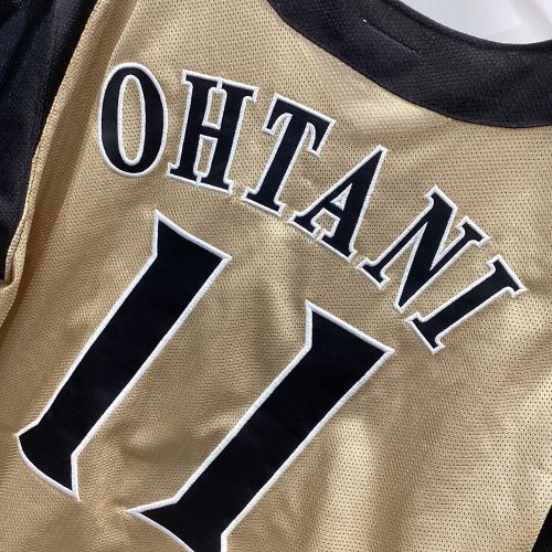 北海道日本ハムファイターズ (ホッカイドウニッポンハムファイターズ