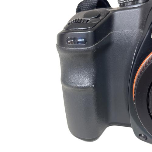 SONY (ソニー) デジタル一眼レフカメラ DSLR-A100 α100 レンズ：75-300