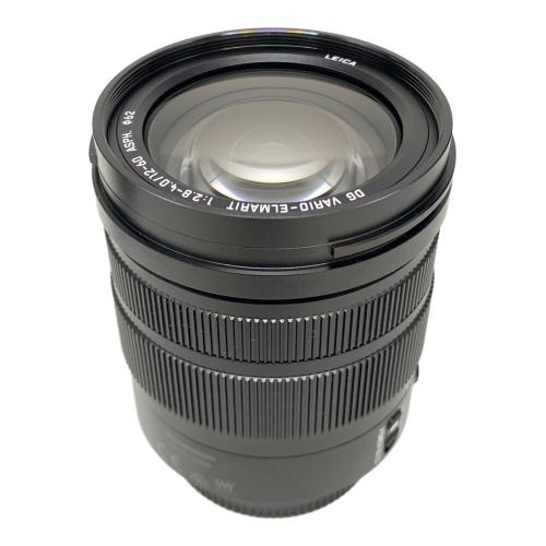 Panasonic (パナソニック) 標準ズームレンズ H-ES12060 LEICA DG VARIO