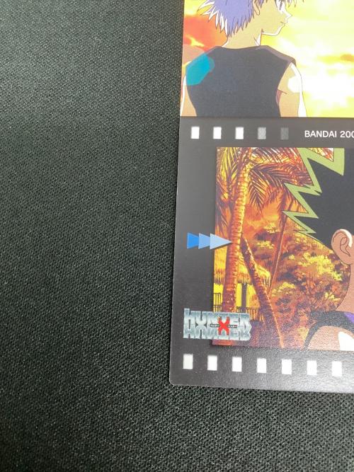 HUNTER×HUNTER (ハンター×ハンター) ゴン キルア センリツ クロロ