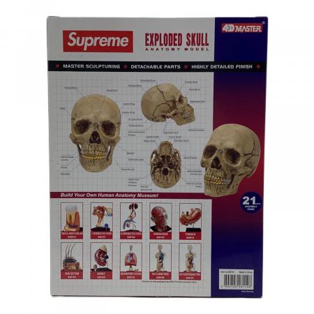 Supreme(シュプリーム) 4D Model Human Skull（4D モデル ヒューマン