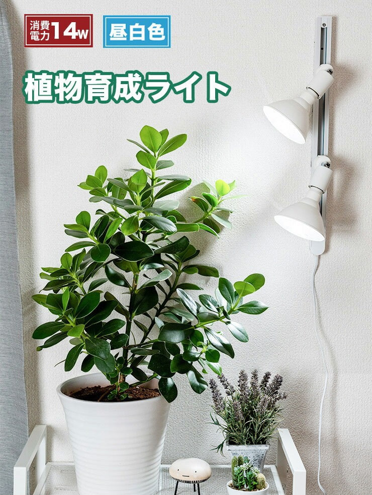 LED 植物育成 水耕栽培 LEDライト 観葉 植物 育成 ガーデニング 植物