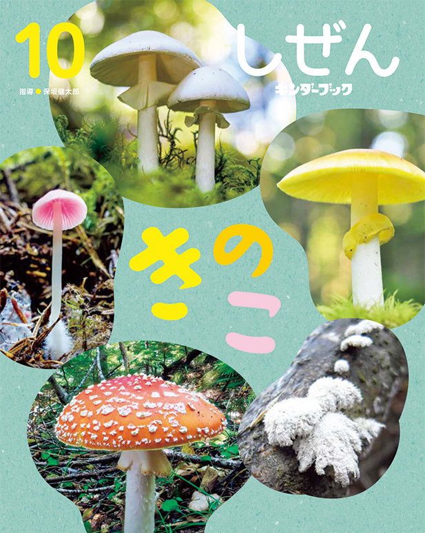 フレーベル館オンラインショップ｜しぜんキンダーブック2025年10月号