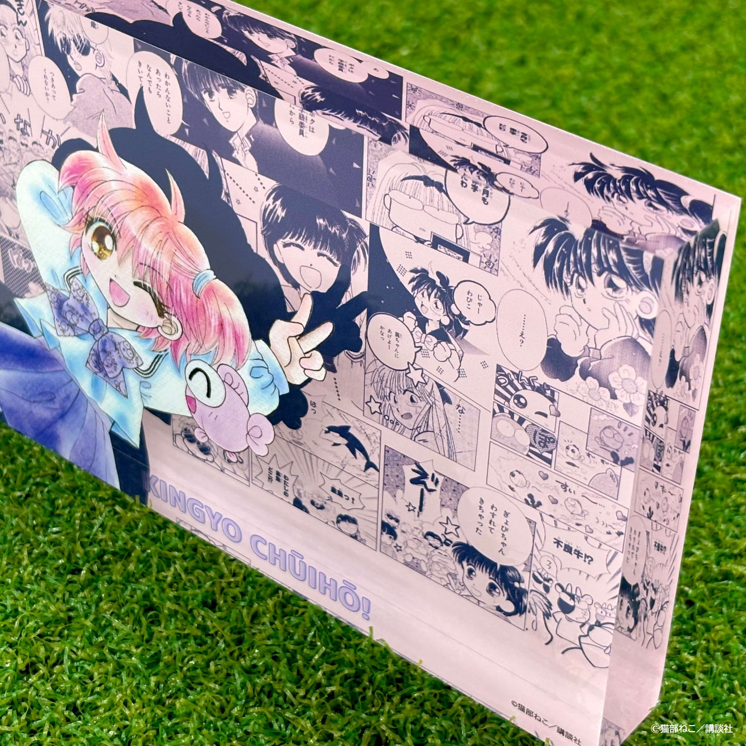 メモリーブロック「きんぎょ注意報！」01/集合デザイン(公式イラスト