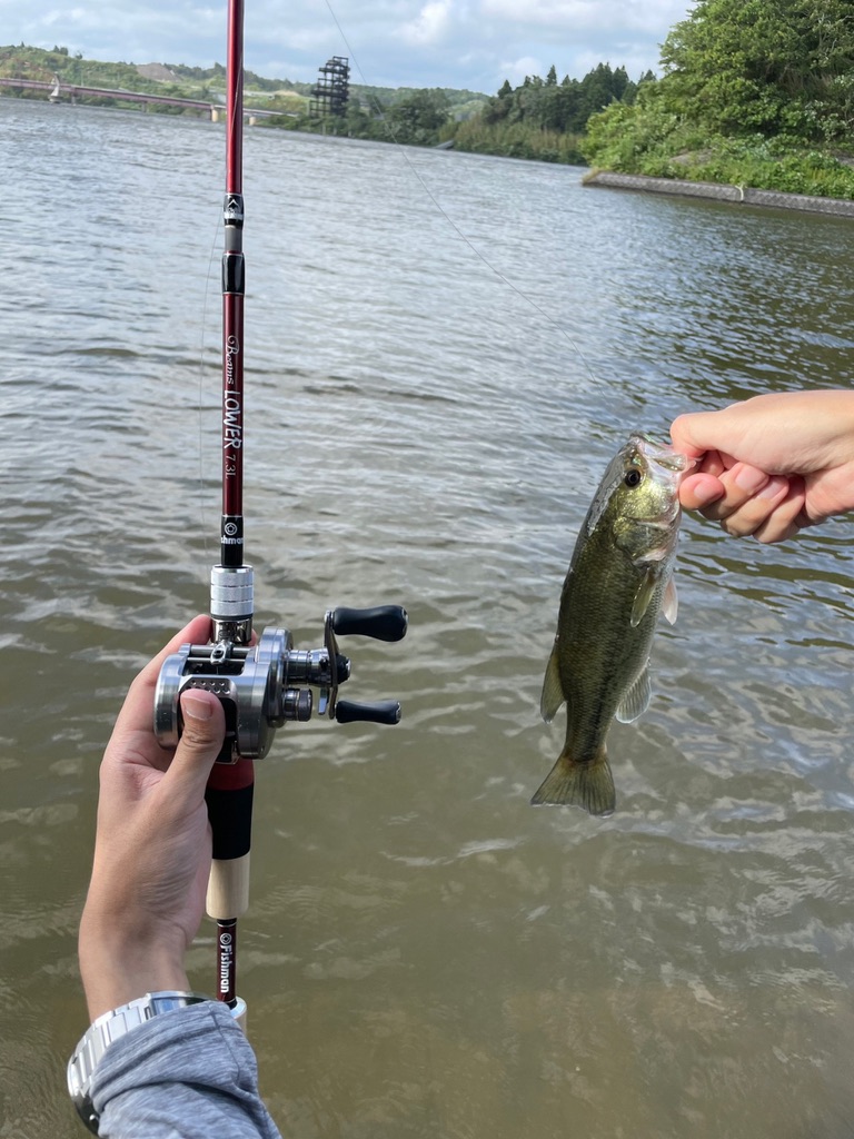 Fishman Beams Lower73Lは「釣れる竿」だ/バス・ライトゲーム1年