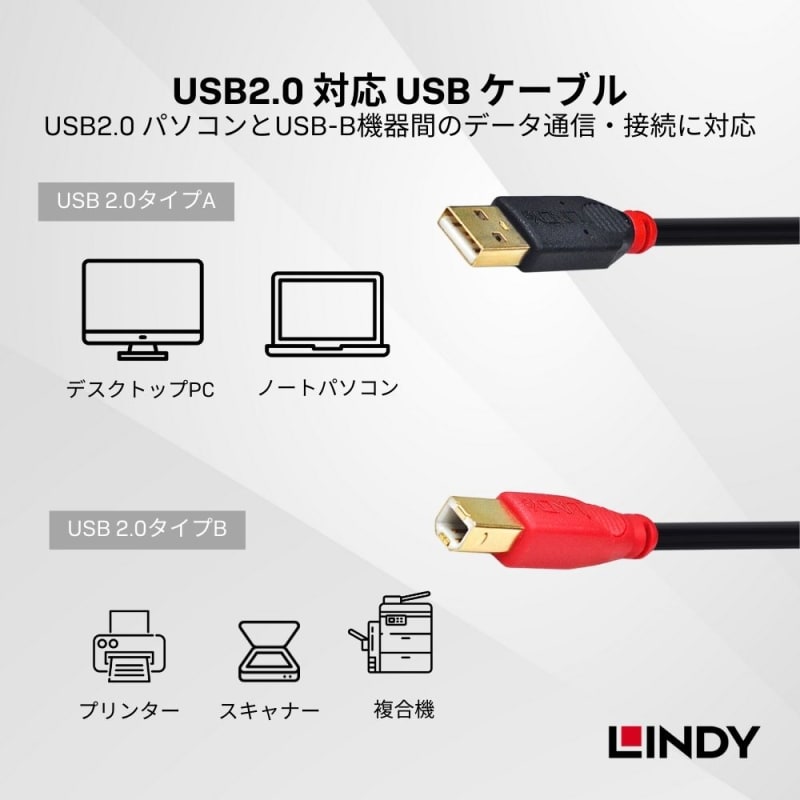 42761】10m USB2.0 Type-A to Type-B アクティブ延長ケーブル