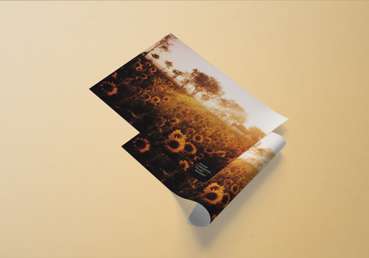 Kruder & Dorfmeister: The K&D Sessions TM (25th Anniversary Boxset