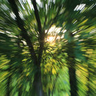 Love at the Hacienda | Graham Fellows