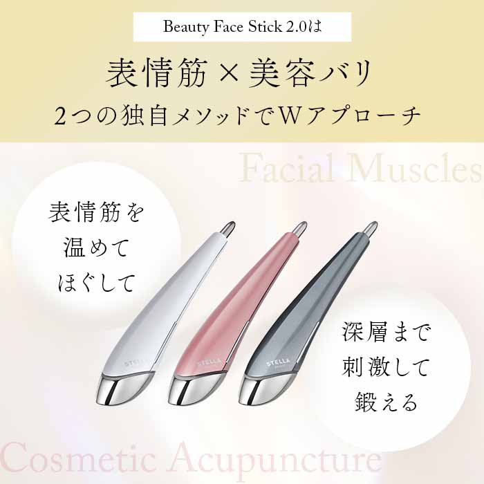 レンタル] STELLA BEAUTE(ステラ ボーテ) Beauty Face Stick 2.0