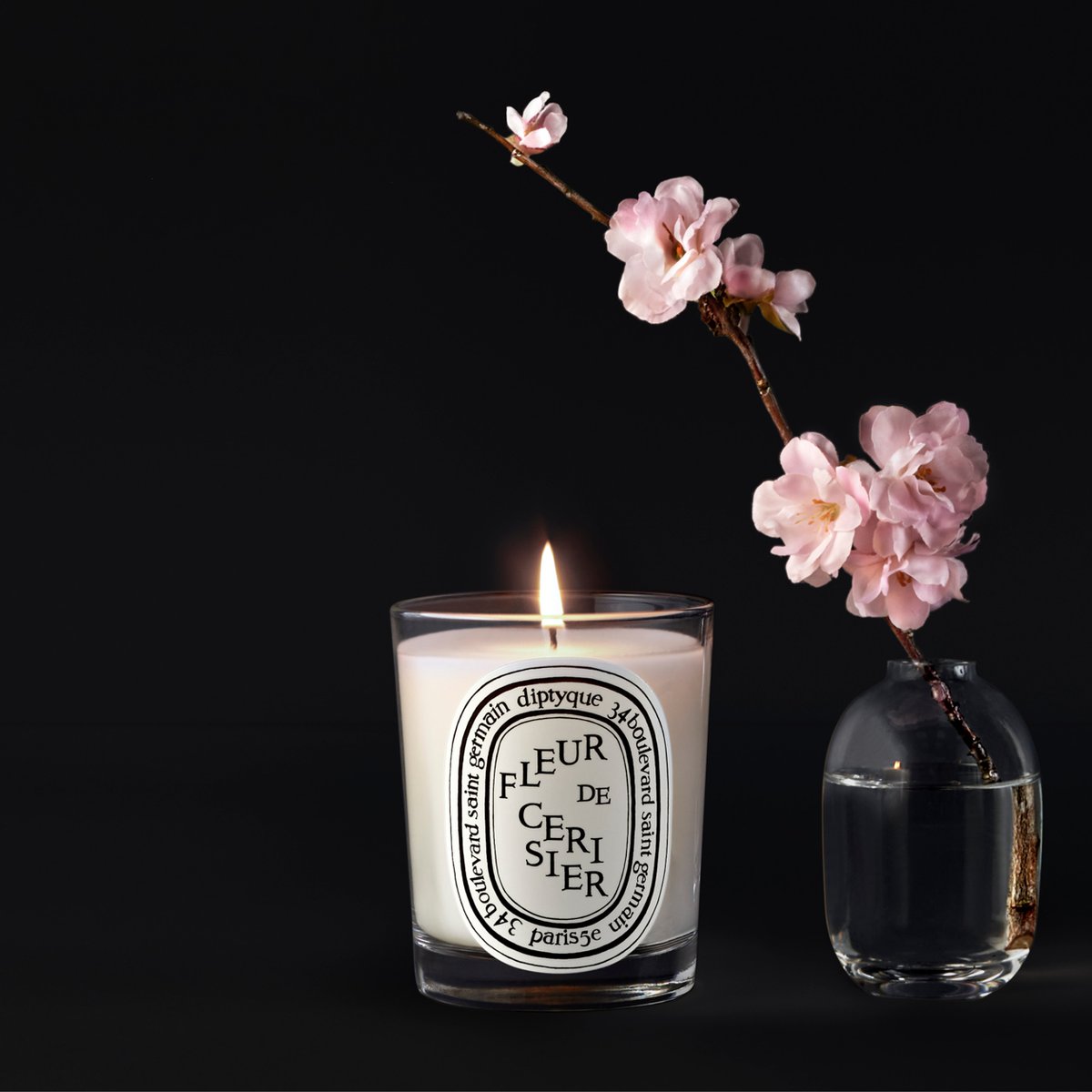 ディプティック」桜の香りの限定キャンドル発売 売上の一部を桜の木の