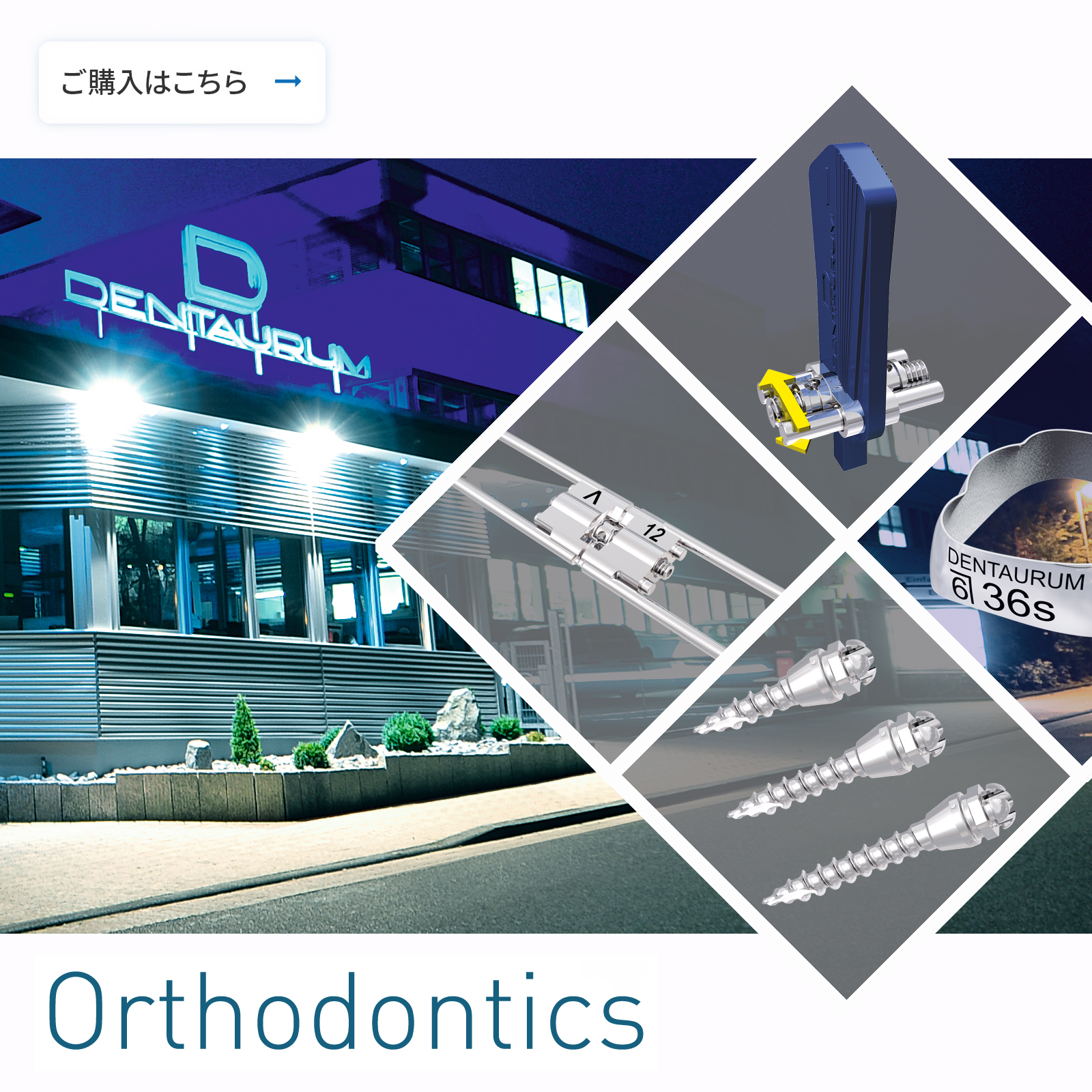 デンタリードオンラインショップ