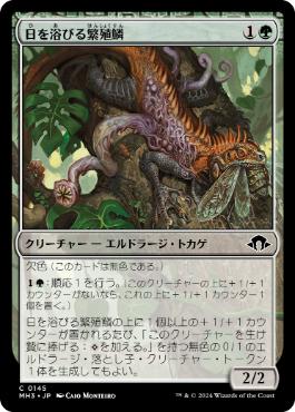 魂の洞窟/Cavern of Souls》[UMA] 土地R | 日本最大級 MTG通販サイト