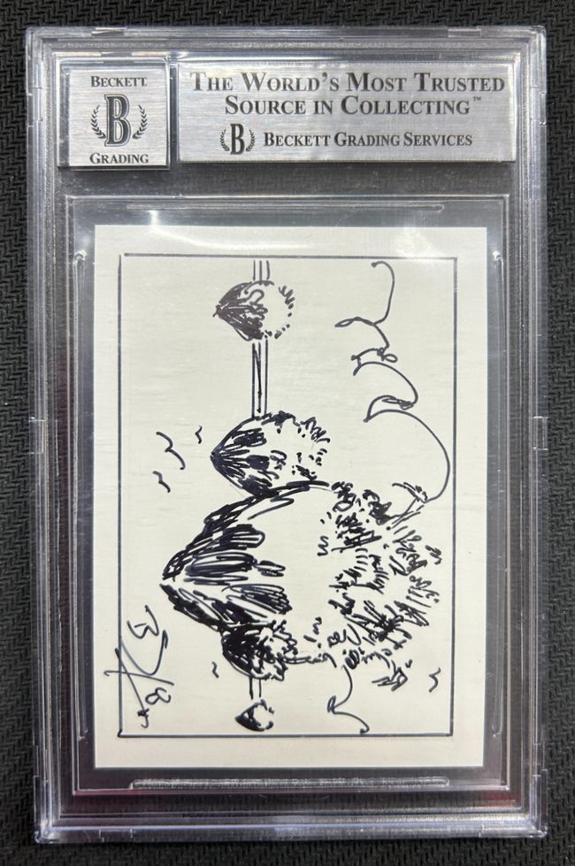 委託商品】【EN】《Volcanic Island》 ※アーティストプルーフ サイン7