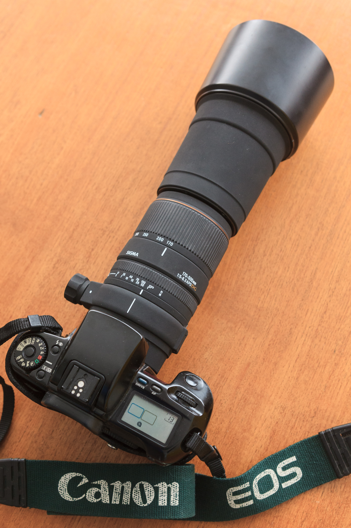 Sigma 170-500mm f5-6.3 APO DG – Film Love Photography