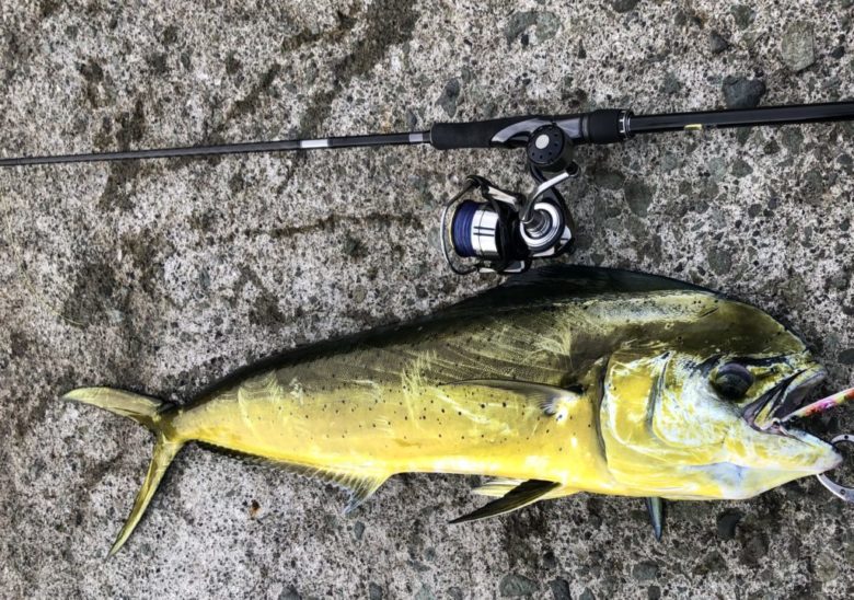 シマノ20ルナミスでショアジギング 青物狙いに適した番手セレクトを