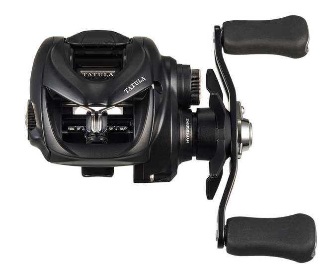 ダイワのベイトリール特集！2024年新登場モデル＋ソルトゲームに使って