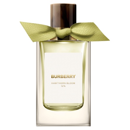 Burberry Beauty / バーバリー シグネチャー ホーソーン ブルーム