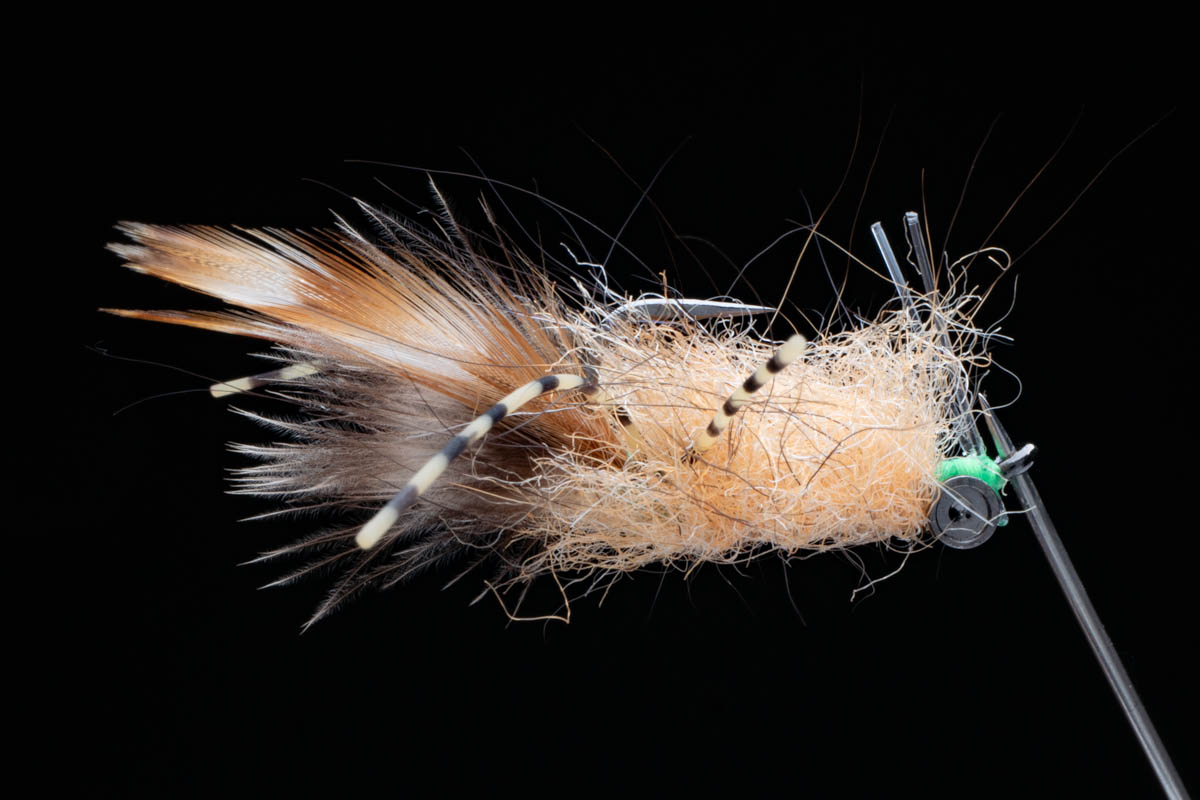 正木充さんの南の島フライ | ARTICLES | FlyFisher ONLINE フライ