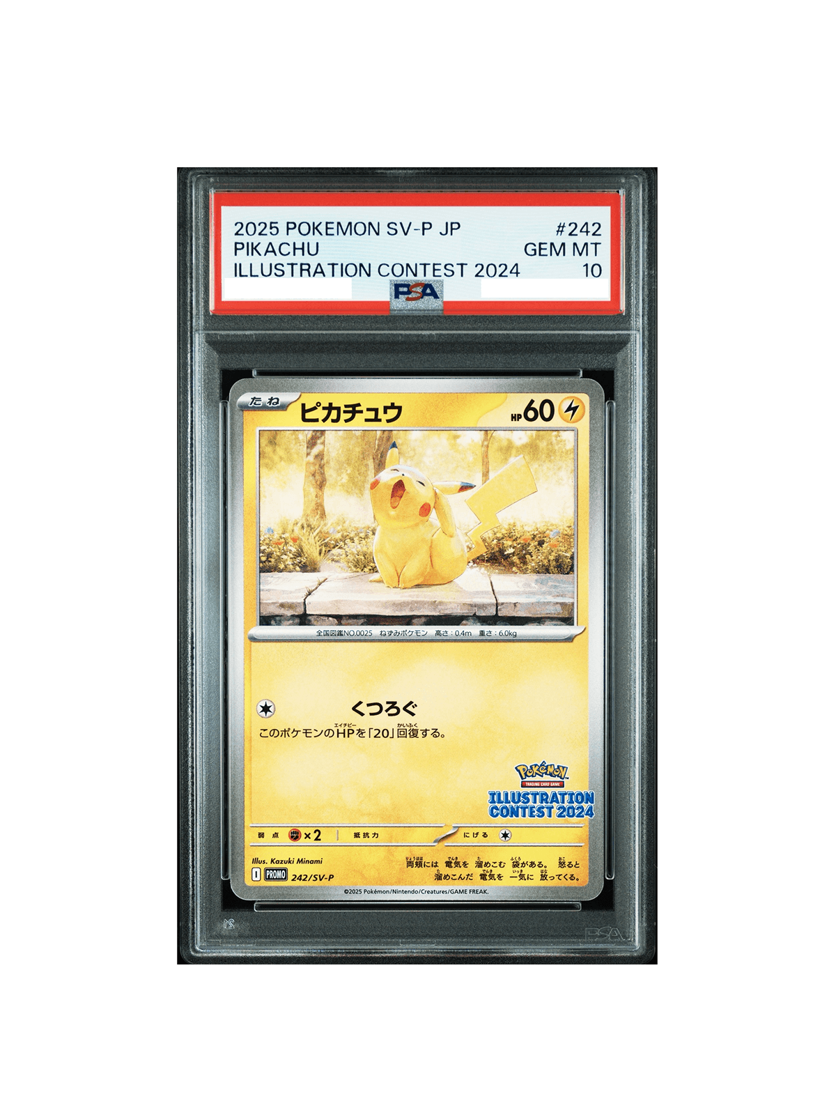 PSA10 ピカチュウ SV-P 242 - PSA10