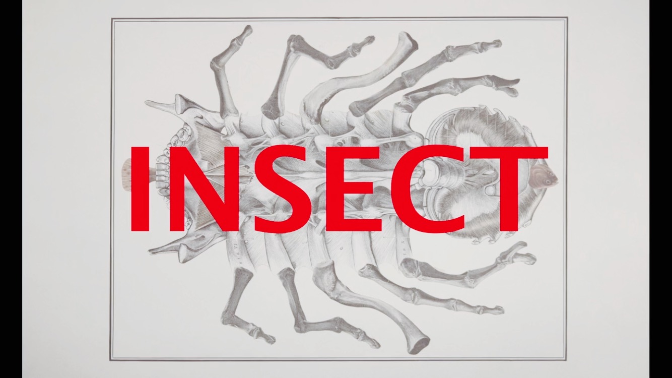 蟲』ヤン・シュヴァンクマイエル引退作!狂ったアニメの裏側魅せます