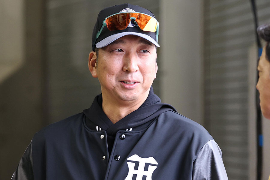 虎キャンプを訪れた