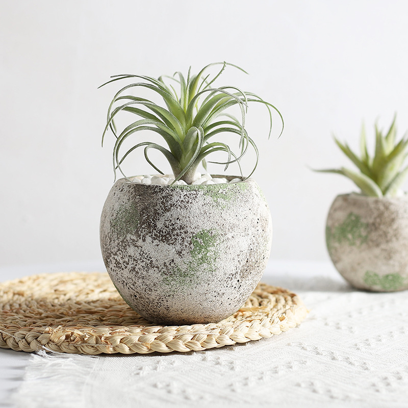 ナチュラルガーデニング雑貨で自然の癒しを毎日の暮らしに取り入れる10