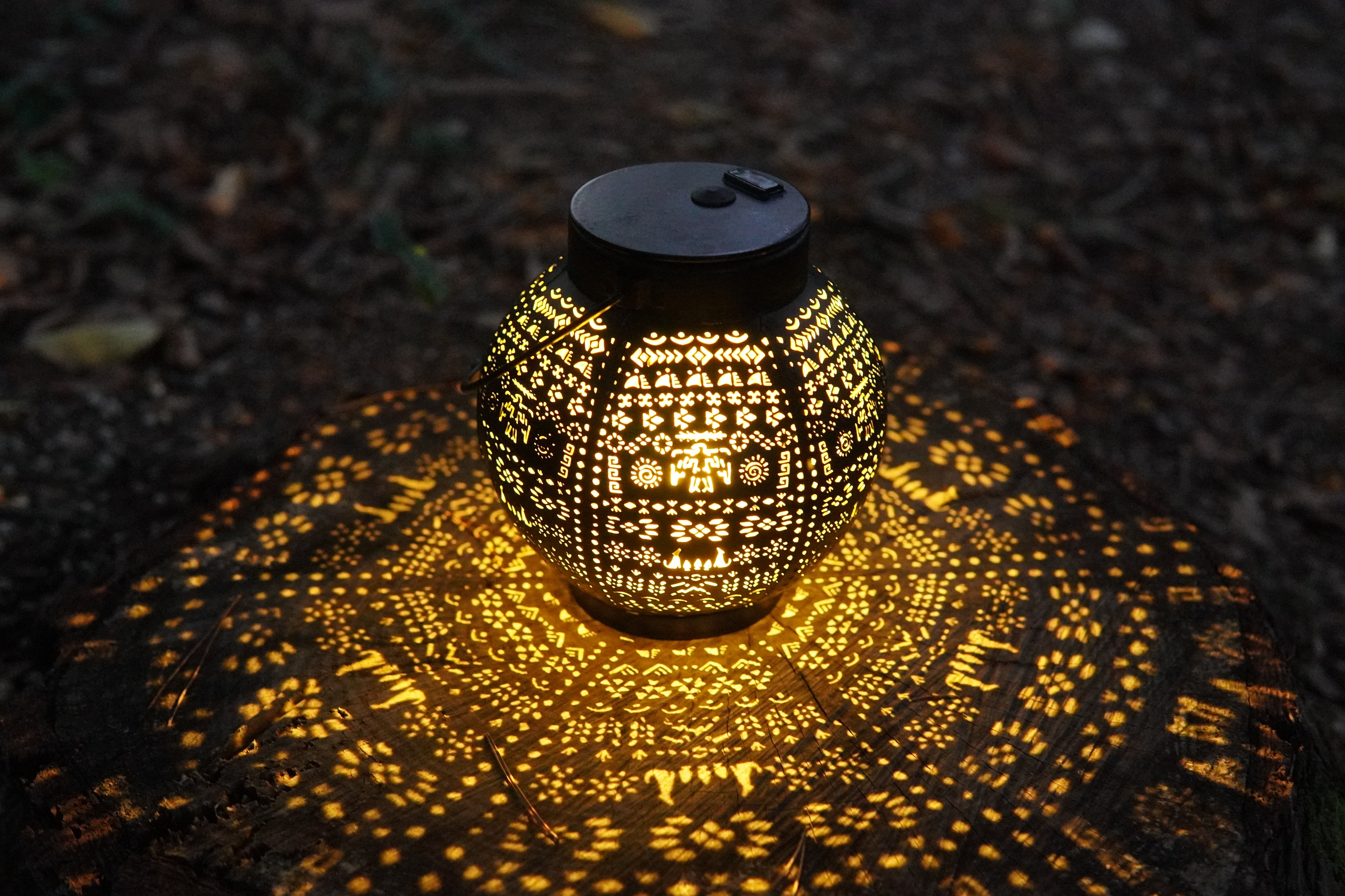 DSC00389.jpg?v=1743741397&