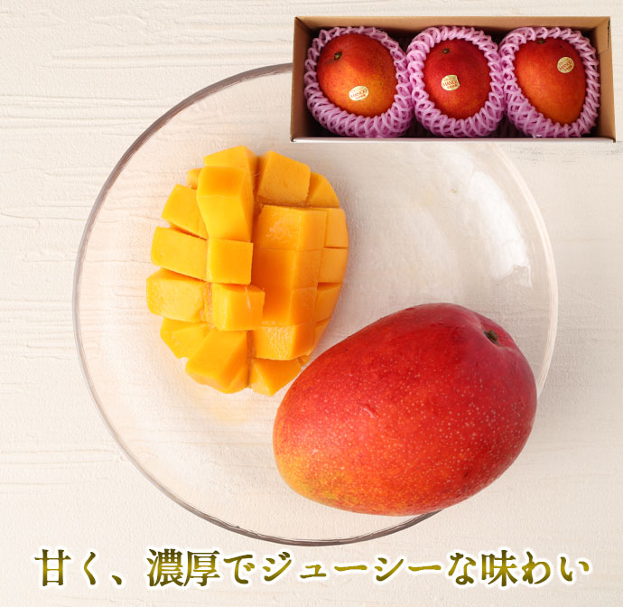 2026年発送】【先行受付】徳之島 天城町産 宝果樹園 完熟マンゴー ご