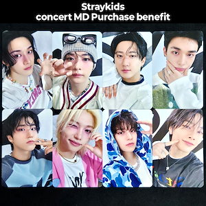 straykids dominate トレカ