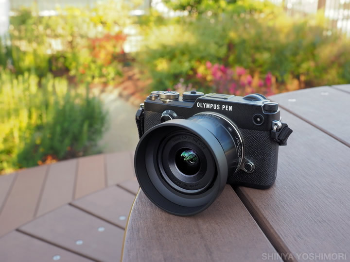 手軽な広角単焦点レンズを持って “懐かしの場所” へ『シグマ 19mm F2.8