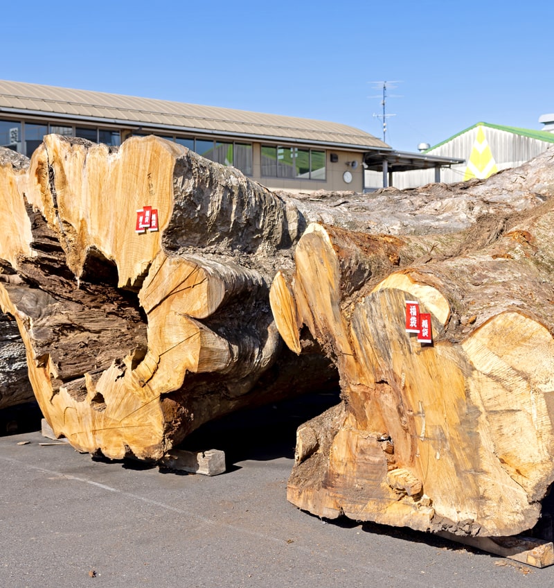 世界中の銘木が集まる日本一大きい銘木市場”岐阜県銘木協同組合”