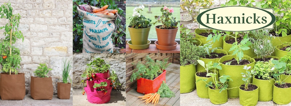 たためるプランター 支柱フレーム付き トマト | Tomato Climbing Patio