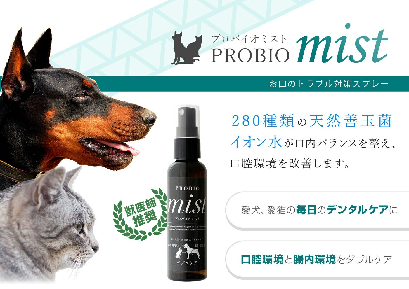 プロバイオミスト 80ml | ブランド別,その他ブランド | albiot