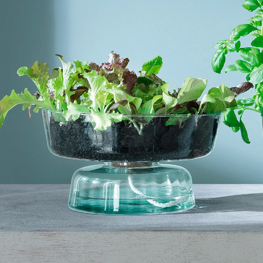 LSA International フラワーベース CANOPY SELF WATERING PLANT
