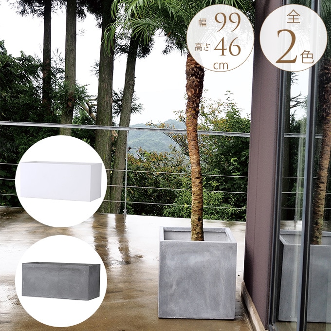 コンクリート 鉢 キューブ 50型 プランター 大型植木鉢 シンプル