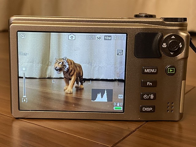 GRの弟分!? RICOH CX4の実力を実写レビュー｜オールドコンデジの逆襲