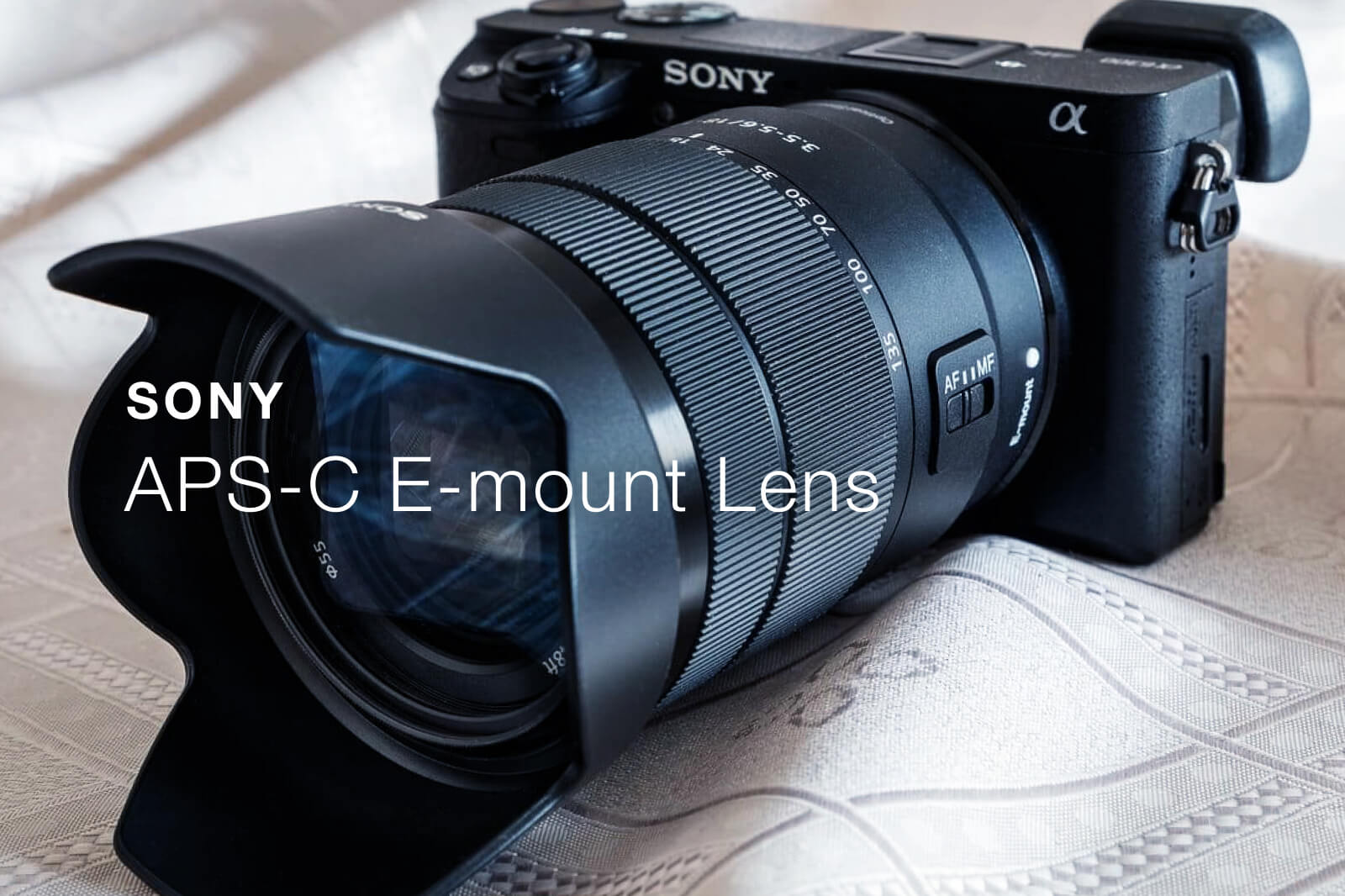 SONY(ソニー) APS-C Eマウントレンズ おすすめ 11選【2026年最新