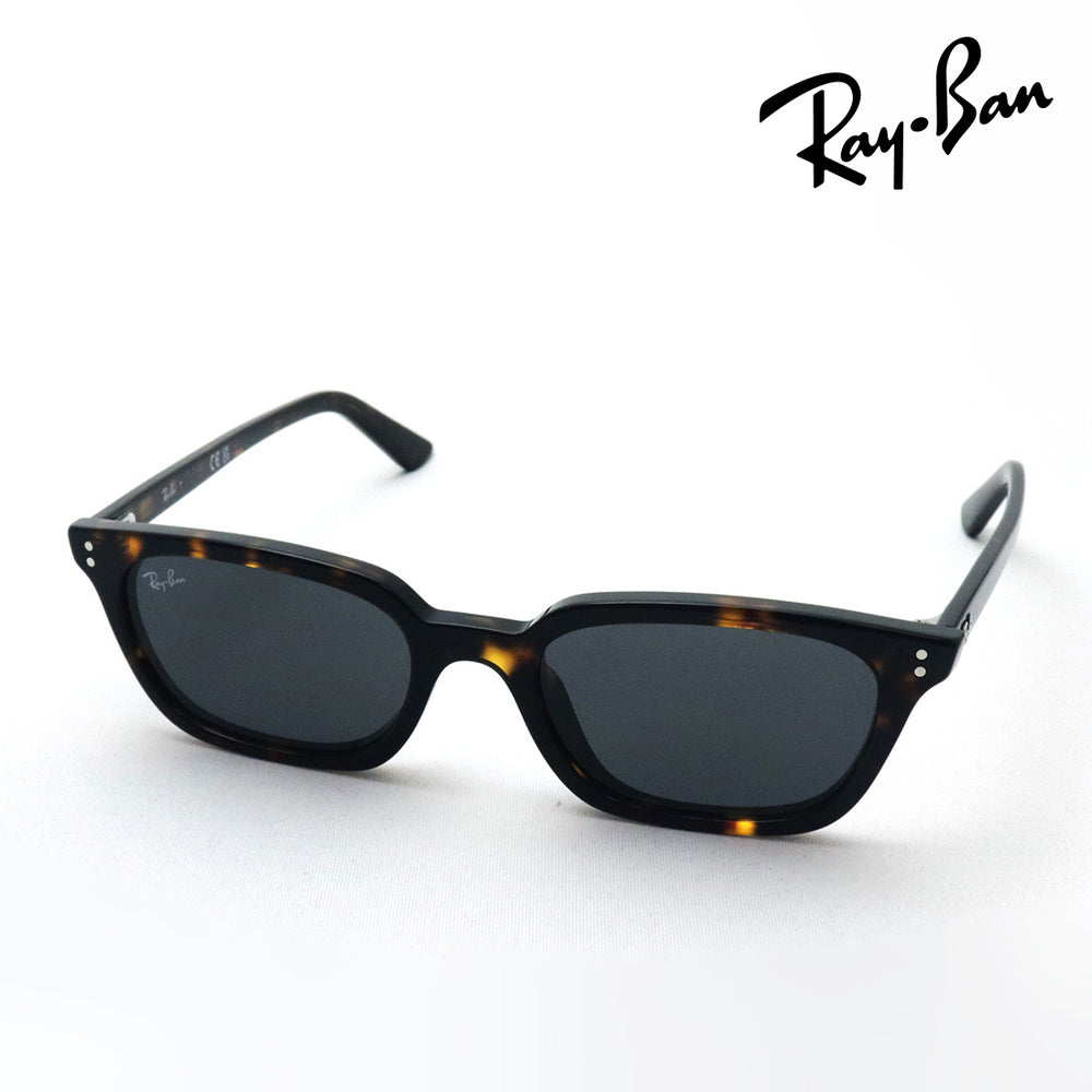 レイバン サングラス Ray-Ban ZAYA ザヤ RB4456F 135987 51 スクエア