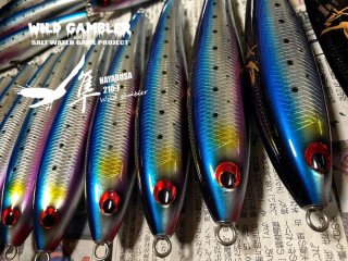 WILD GAMBLER［ワイルドギャンブラー］ - アングラーズショップ豪海