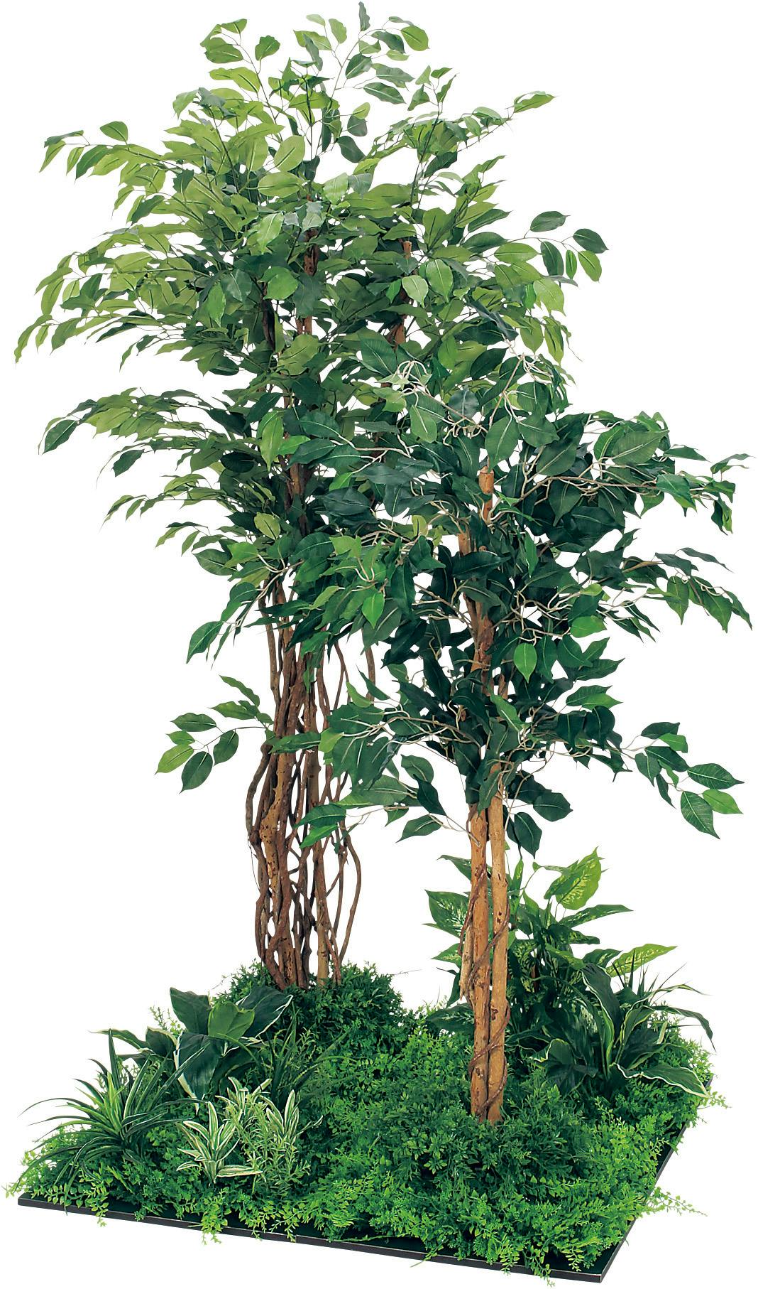 フロアグリーン GM5710 45角4連 フィカスベンジャミン H1800 ｜人工