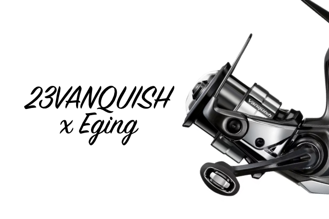 相対評価低め…？「23ヴァンキッシュ」をエギング的に解説！おすすめ