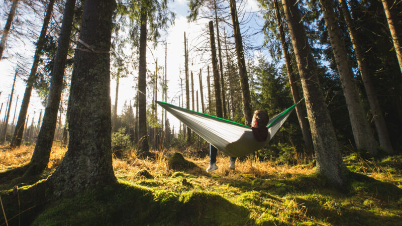 Gear Review: Hummingbird Hammocks – HammockLiving