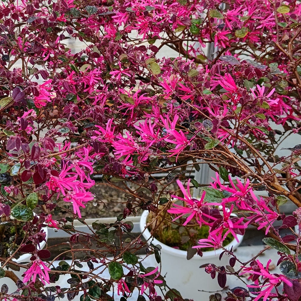 000000050083-07.jpg?size=l&w=