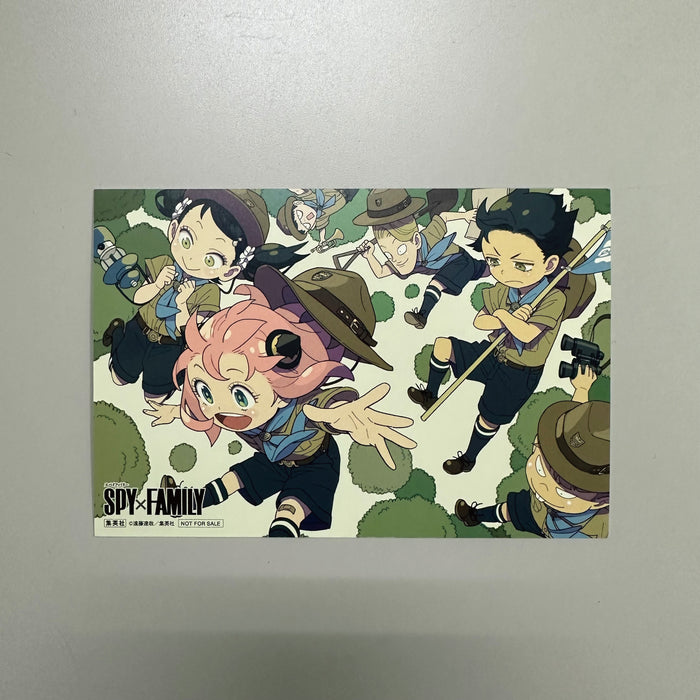 SPY×FAMILY 全巻セット（1-16巻 最新刊） | 八文字屋OnlineStore