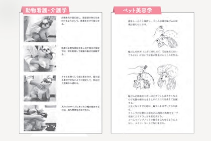 ブリーダー資格（犬）の通信講座 | 通信教育講座で資格なら